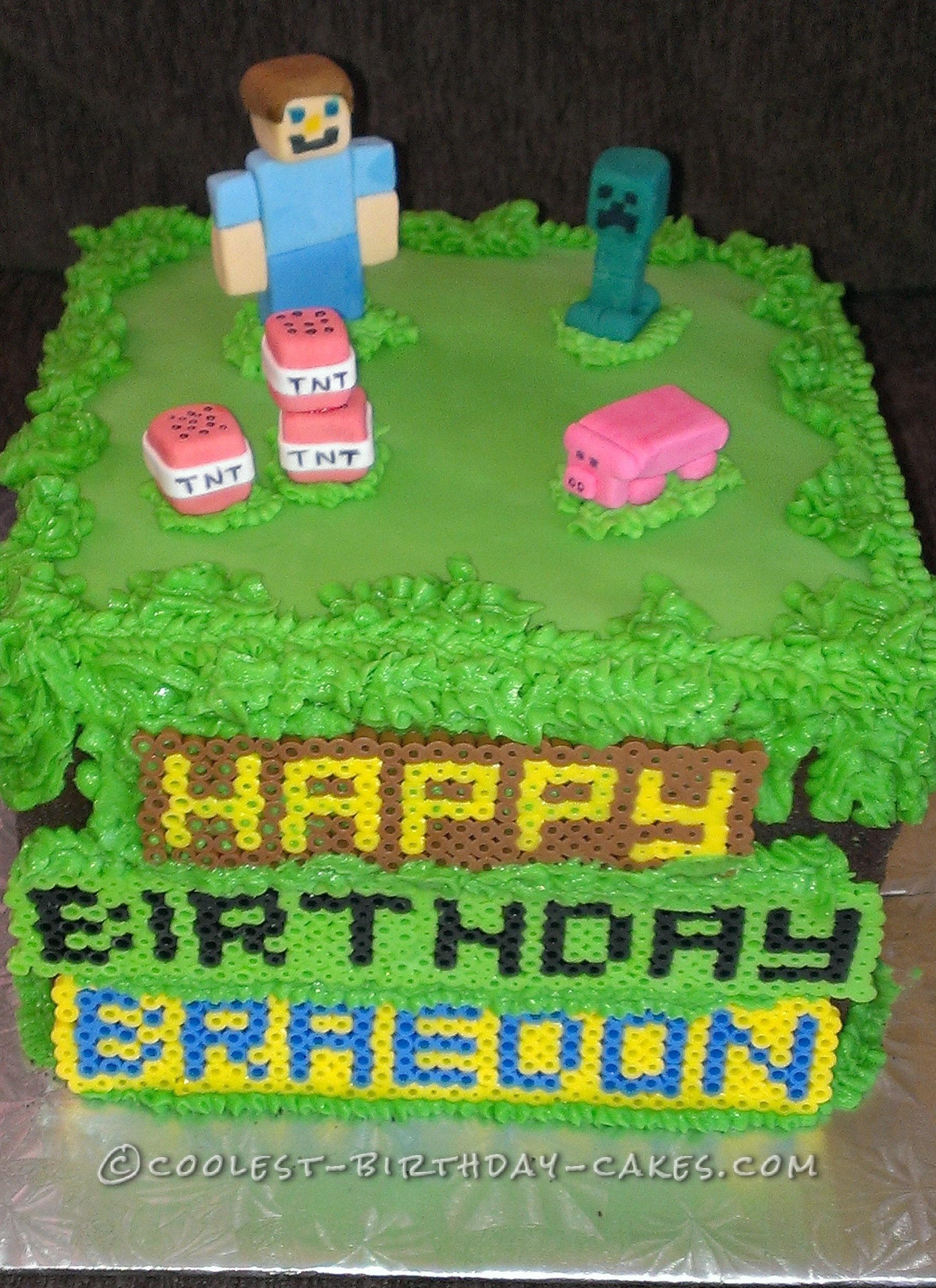 Minecraft Birthday Cake for 10 Year Old Boy