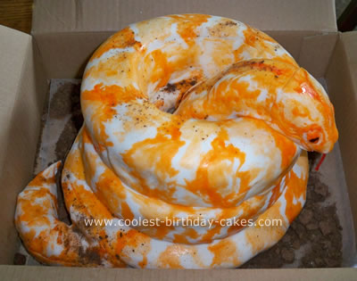 http://www.coolest-birthday-cakes.com/images/burmese-python-snake-cake-22-21353875.jpg