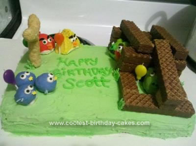 Homemade Birthday Cake on Coolest Angry Birds Cake 21