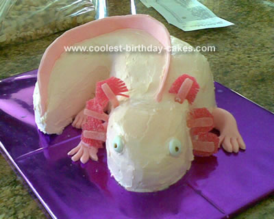 Birthday Cake Shot Recipe on Coolest Axolotl Cake 1