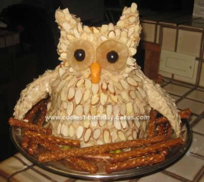  Birthday Cakes on Coolest Birthday Owl Cake 15