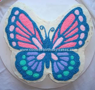 Girls Birthday Cakes on Homemade Beautiful Butterfly Birthday Cake