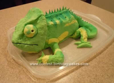 Special Birthday Cakes on Coolest Chameleon Cake 14