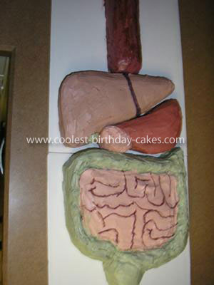 Birthday Cake Template on Coolest Digestive System Cake 2