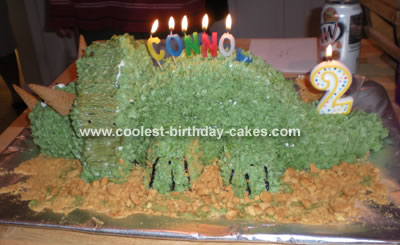 Awesome Birthday Cakes on Triceratops Dinosaur Cake