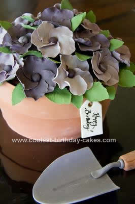 Flower Birthday Cake on Homemade Flower Pot Cake