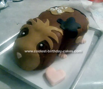 Chocolate Birthday Cake on Coolest Guinea Pig Cake 1