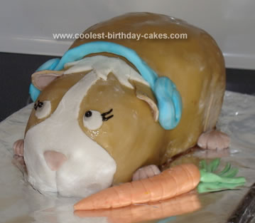Childrenbirthday Cakes on Fluffy The Guinea Pig Books