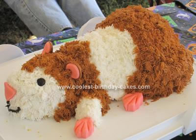 Picturebirthday Cake on Coolest Hamster Cake 2