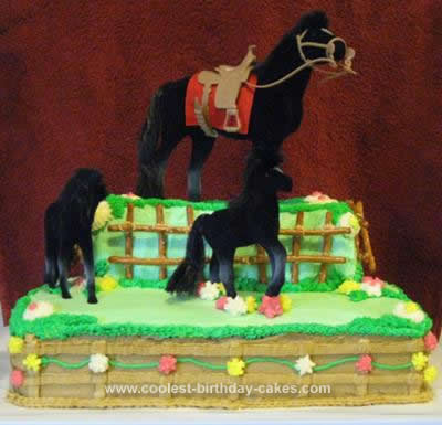 Horse Birthday Cakes on Coolest Horse And Pony Birthday Cake 91