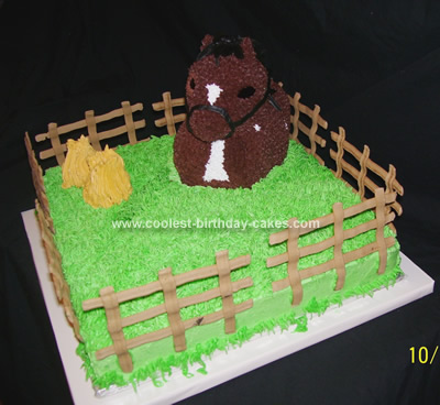 Homemade Birthday Cake on Homemade Horse Birthday Cake