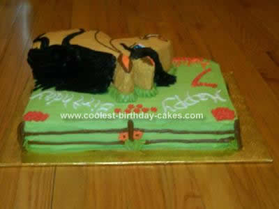 Horse Birthday Cake on Coolest Horse Cake 95