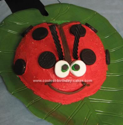 Lady  Birthday Party on Coolest Lady Bug Cake 82 21337631 Jpg