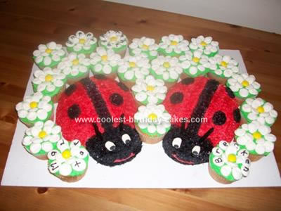 Ladybug Birthday Party on Coolest Lady Bug Flower Cake 113