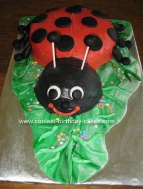 Ladybug Birthday Cake on Coolest Ladybug Birthday Cake 101
