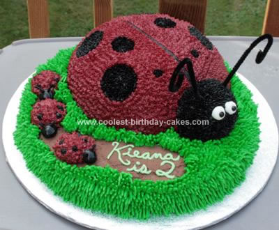 birthday cakes for girls 2nd birthday. Coolest Ladybug Birthday Cake