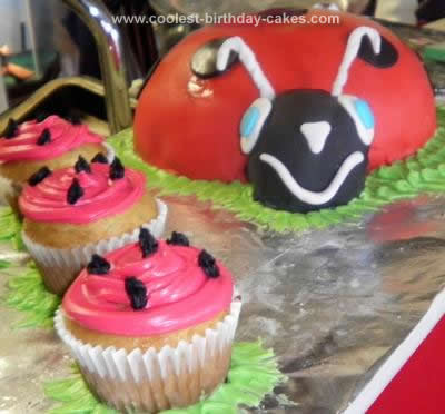 Ladybug Birthday Cakes on Coolest Ladybug Birthday Cake 144