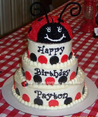 Ladybug Birthday Cakes on Birthday Cake Photograph   Coolest Ladybug Birthday Cake 98