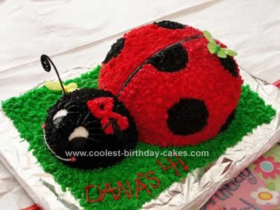 Ladybug Birthday Cakes on Homemade Pink And Black Ladybug Birthday Cake Design