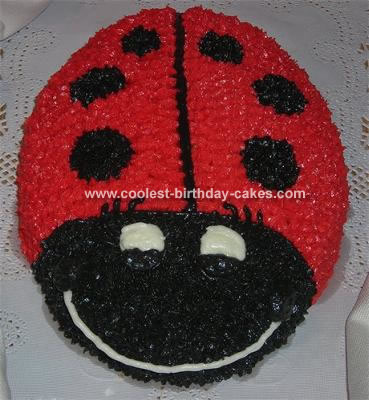 Ladybug Birthday Cake on Ladybug Cake