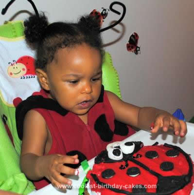 Birthday Cakes Atlanta on Coolest Ladybug Cupcakes And Birthday Cake 144 21443059 Jpg