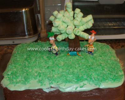 Phineas  Ferb Birthday Cake on Coolest Phineas And Ferb Cake 17