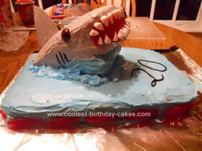 Homemade Birthday Cakes on Homemade Shark Birthday Cake Idea
