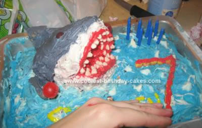 Shark Birthday Cake on Size Nascar Cake Sheet Cake But The Grooms Cake My Wifes Work