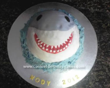 Shark Birthday Cake on Coolest Shark Cake 56