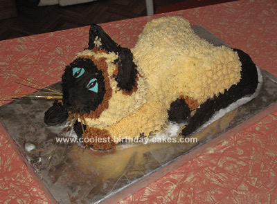  Birthday Cake on Pin Coolest Cat Birthday Cake 27 Cake On Pinterest