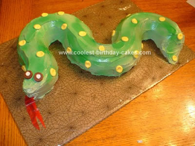 Birthday Cakes Houston on Coolest Snake Cake 32