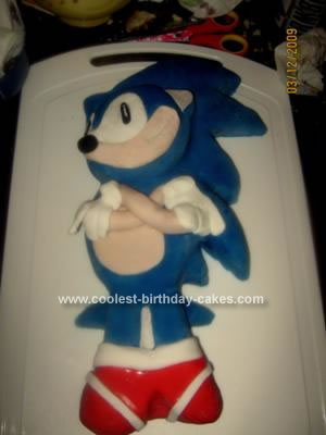 Princess Birthday Cakes on Coolest Sonic The Hedgehog Cake 13
