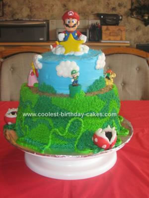 Creative Birthday Cakes on Coolest Super Mario Brothers Cake 43