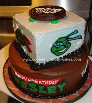 Home Birthday Party Ideas on Homemadeteenage Mutant Ninja Turtle Cake