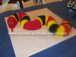 Birthday Cakes  York on Homemade Coral Snake Cake
