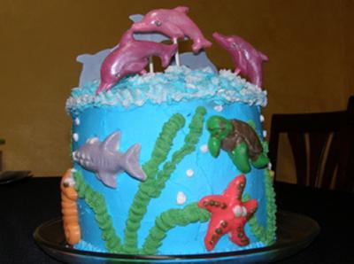 Coolest Birthday Cakes on Homemade Dolphin Cake