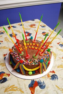 Zebra Birthday Cakes on Homemade Easy To Make Rainbow Candy Birthday Cake And Cupcakes