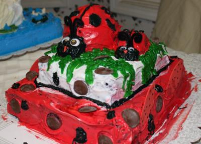 Ladybug Birthday Cakes on Homemade Lady Bug Birthday Cake Ladybug