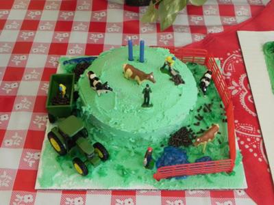 Farm Birthday Party Ideas on Braydens Personal Down On The Farm Bd Cake 2011