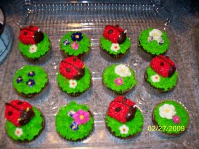 Ladybug Birthday Cakes on Lady Bug Cupcakes
