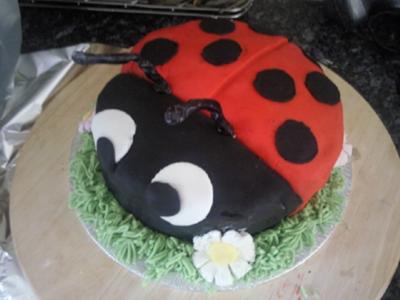 Pirate Birthday Cake on Ladybird Cake