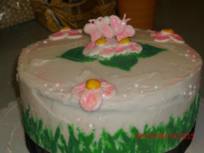 Butterfly Birthday Cake on Spring Butterfly Birthday Cake
