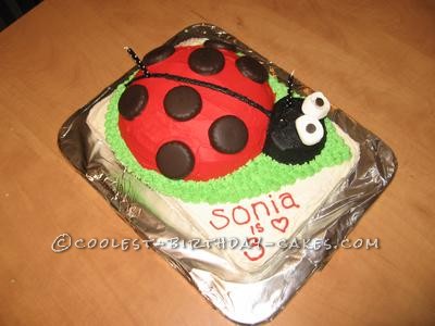 Coolest Ladybug Birthday Cake