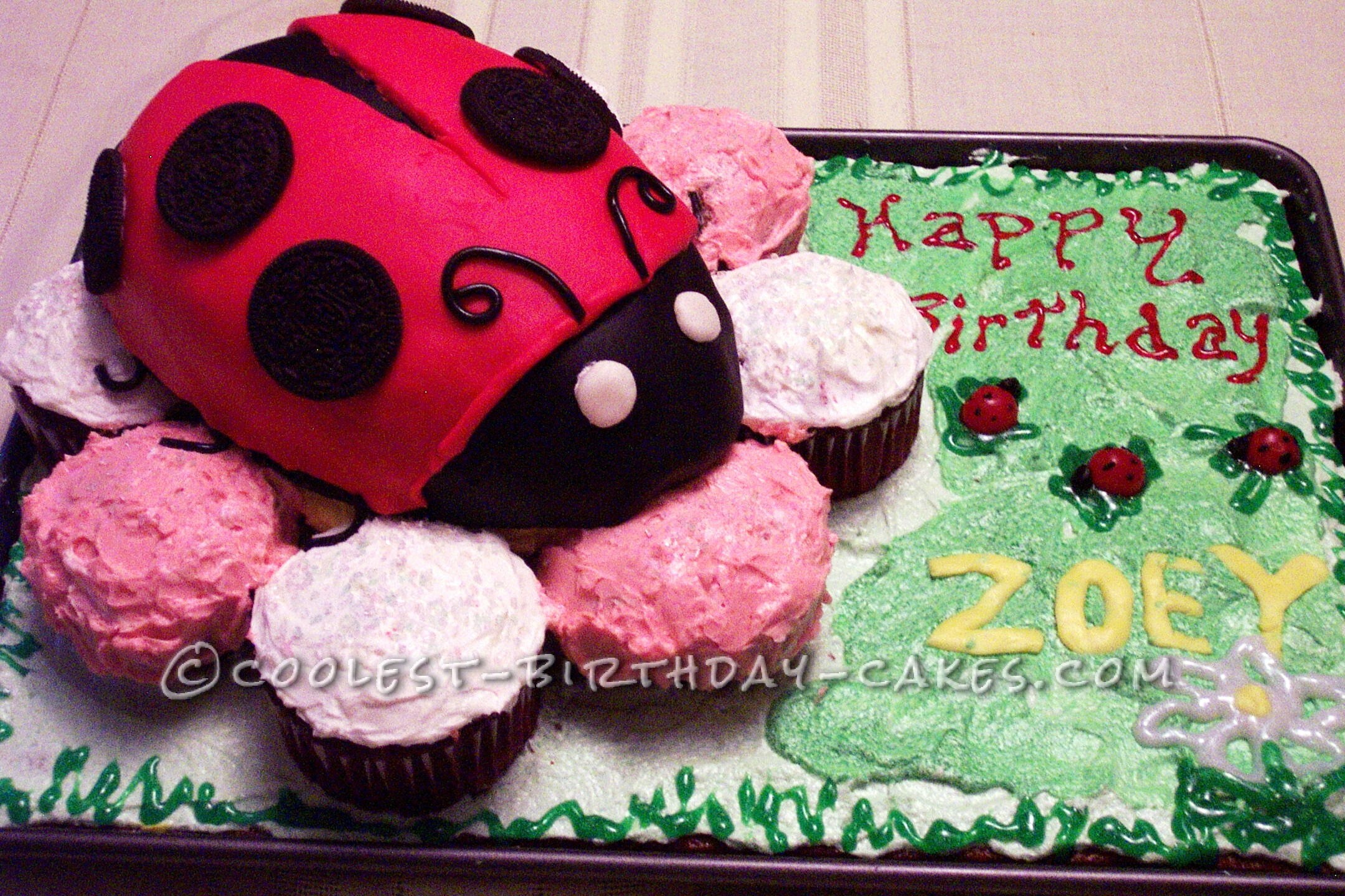 Coolest Ladybug Cake for Ladybug Girl 1st Birthday