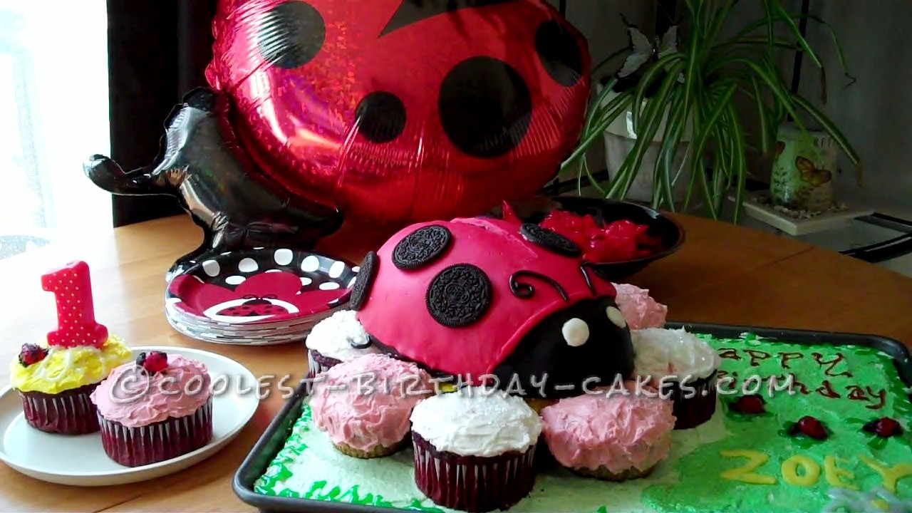 Coolest Ladybug Cake for Ladybug Girl 1st Birthday