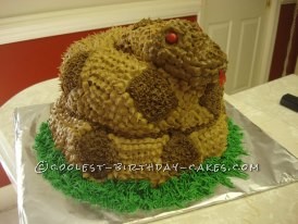 Coiled Rattlesnake Cake