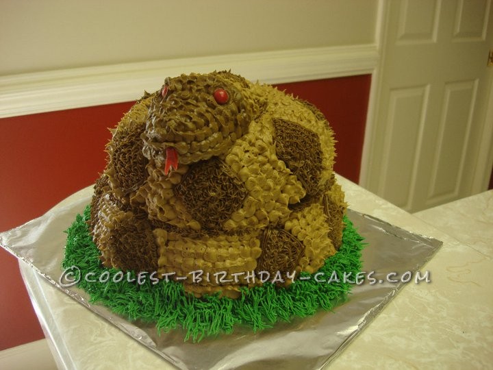 Coiled Rattlesnake Cake