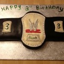 Coolest Wrestling Belt Cake