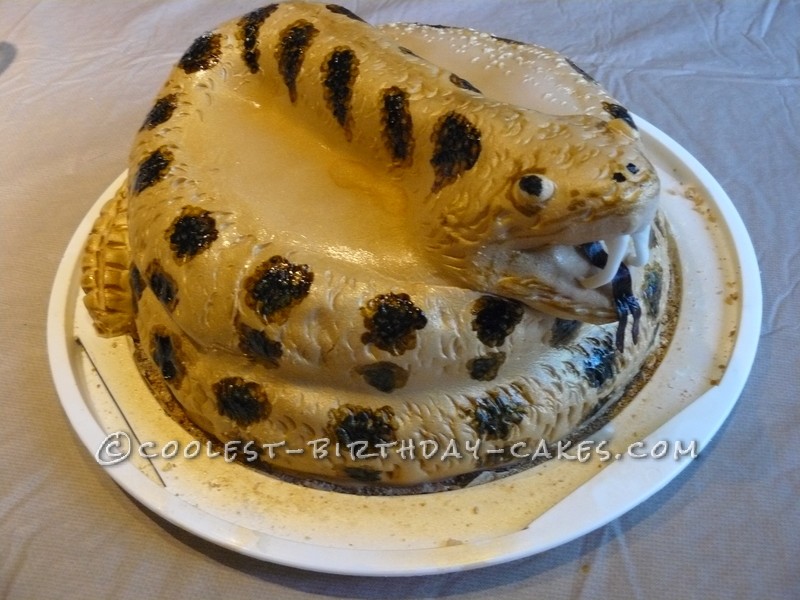 Cool Coiled Rattle Snake Birthday Cake