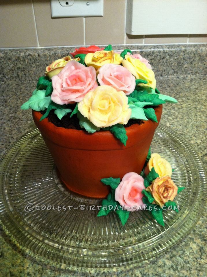 Coolest Flower Pot Birthday Cake